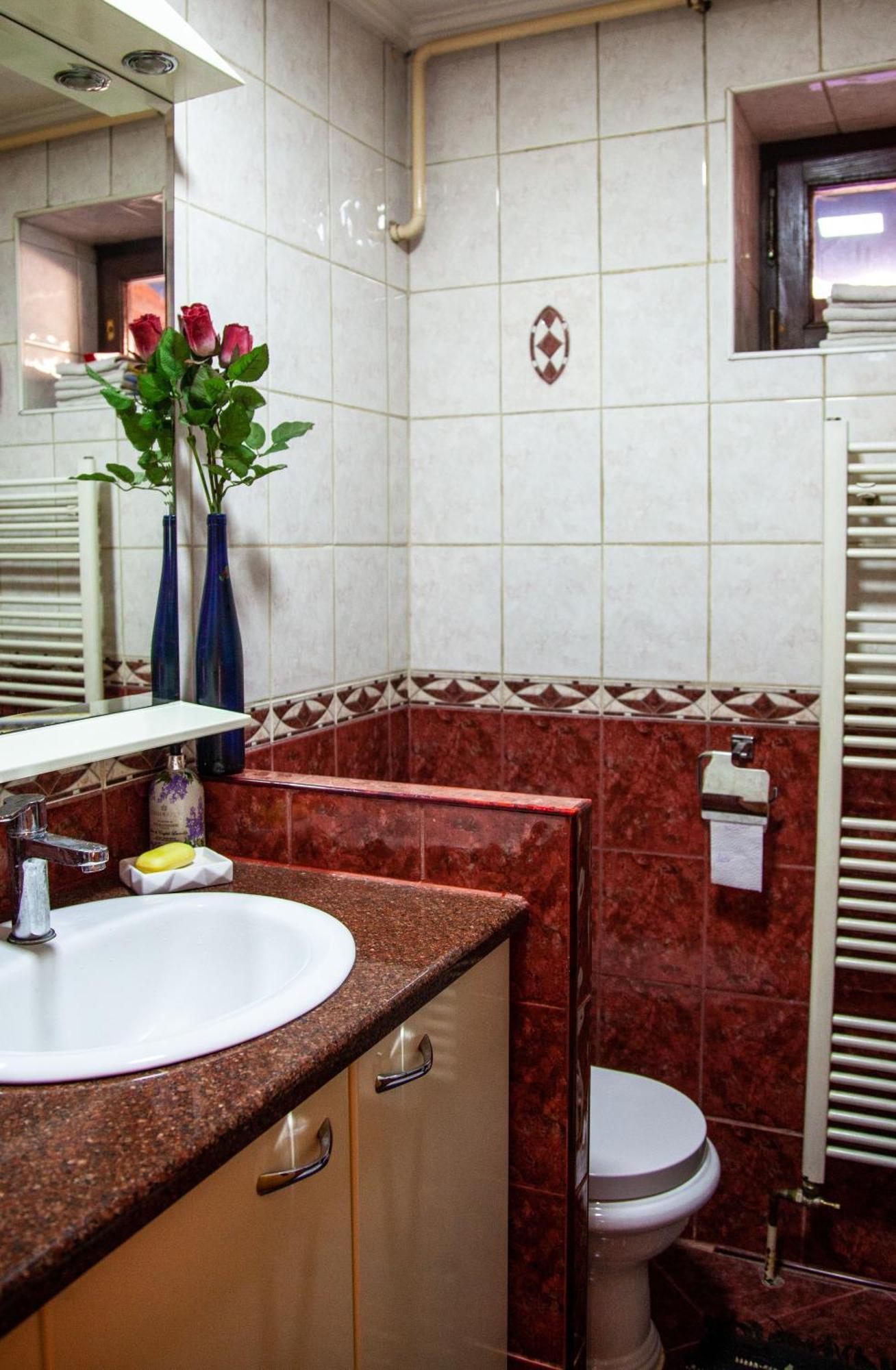 Apartment Centar Lux *