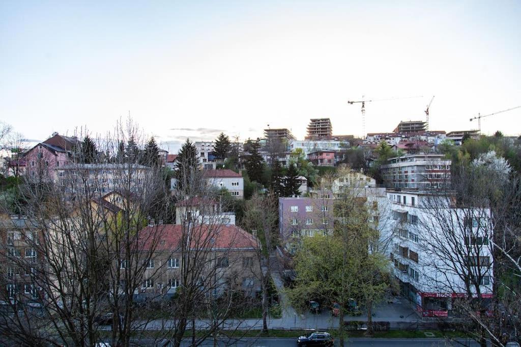 Apartment Centar Lux *